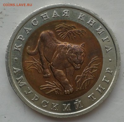 КК  10 руб 1992г  Амурский тигр  до 03.10.2014, 22-00 - 20141101_132335