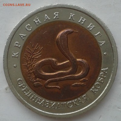 КК  10 руб 1992г  Среднеазиатская кобра до 03.11.2014, 22-00 - 20141101_132357