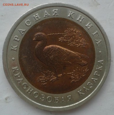 КК  10 руб 1992г  Краснозобая казарка до 03.11.2014, 22-00 - 20141101_132429