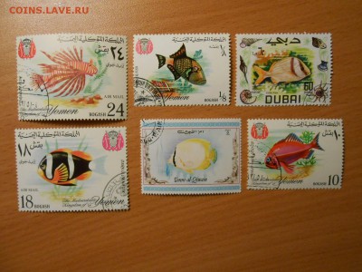 Распродажа. Марки ЖИВОТНЫЙ МИР, до 02.11.2014 - DSCN4822.JPG
