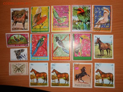 Распродажа. Марки ЖИВОТНЫЙ МИР, до 02.11.2014 - DSCN4820.JPG