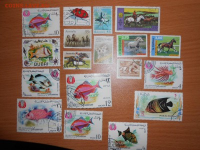 Распродажа. Марки ЖИВОТНЫЙ МИР, до 02.11.2014 - DSCN4821.JPG
