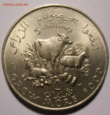 Самоа 1 тала 1970(Папа) и Сомали 5 шилл Фао - somal-1