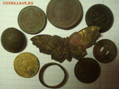 бабочка - 2082736.JPG