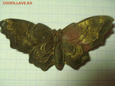 бабочка - 2082798.JPG