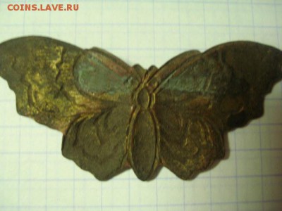 бабочка - 2082796.JPG