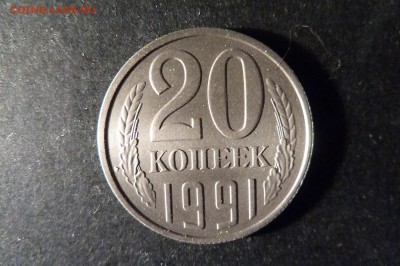 б - P1100328.JPG