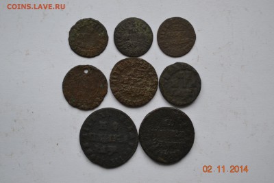 Уставшая медь Петра 8шт 6.11.2014 в 22-10 по Мск №2 - DSC_4884.JPG