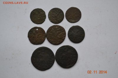 Уставшая медь Петра 8шт 6.11.2014 в 22-10 по Мск №2 - DSC_4885.JPG