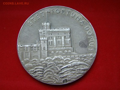 Настольные Медали 19-20 в. Германия, Россия Австрия, Франция - DSC07698.JPG