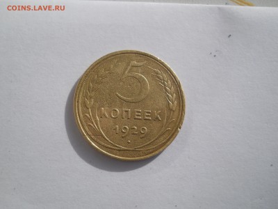 5 копеек 1929 г - пятак 002.JPG