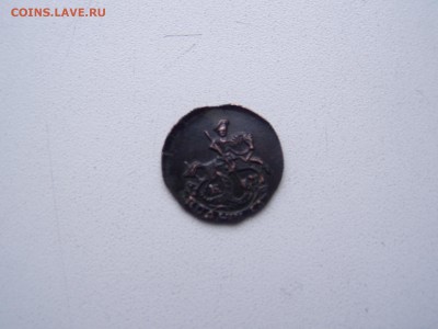 полушка 1786 км - P1010254.JPG