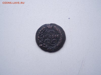 полушка 1786 км - P1010256.JPG