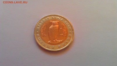 Красная Книга 1991г 2 шт. Хороший сохран  09.11.14 21-00мск - IMAG1429