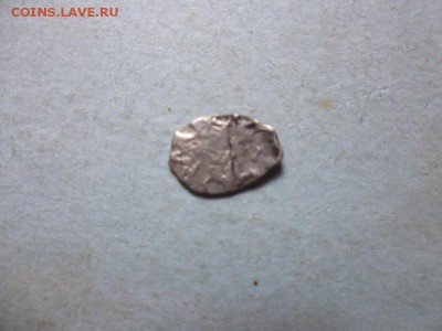 чешуя - P1030477.JPG