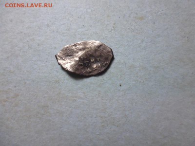 чешуя - P1030480.JPG