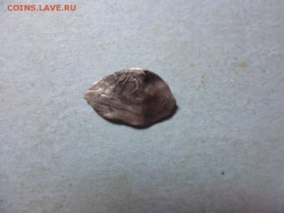чешуя - P1030482.JPG