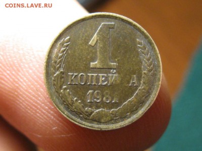 1 копейка 1981 г.Непрочекан. - IMG_5342.JPG