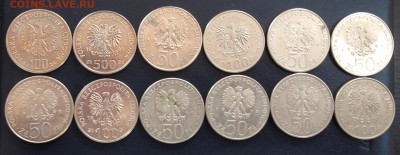 Польские Короли(12 шт.) до 10.11.14 22:00 - IMG_2757.JPG