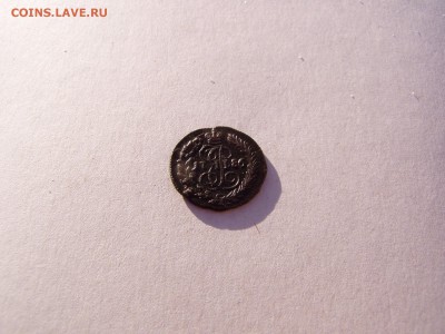 полушка 1786 км - P1010254.JPG