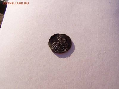 полушка 1786 км - P1010255.JPG