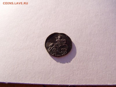 полушка 1786 км - P1010256.JPG