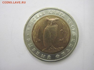 5 руб. Филин К.К. до 09.11.14 - Изображение23 111