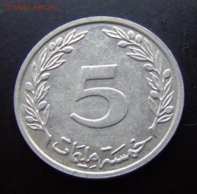 3 - Тунис 5 миллим (2005) «Пробковый дуб» Р