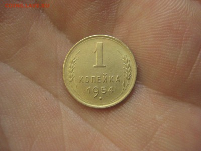 1 копейка 1954 ---------------- 12.11.14, в 22.10 - IMG_1948.JPG