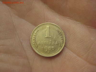 1 копейка 1955 ---------------- 12.11.14, в 22.10 - IMG_1966.JPG