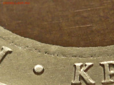 К.К. Краснозобая казарка 10 руб. 1992 двойной выруб. Оценка. - P1240441.JPG