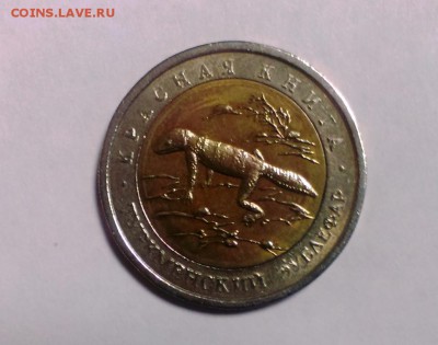 Красная Книга Зублефар.1993г. до 12.11.14. в 22-00 - IMAG2391