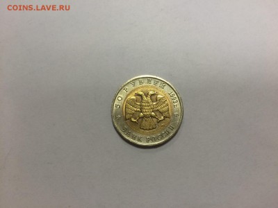 Тетерев  1993г  22.00 12.11.14 - IMG-20141108-WA0019