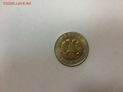 туркменский зублефар 1993г до 22.00   12.11.14 г. - IMG-20141108-WA0025