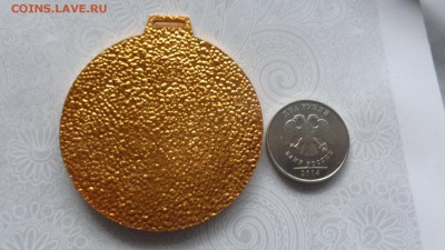 Медаль 3 место Чемпионат ВС  до 12.11  в 21-30 мс - ппп 08.11.2014  оооо 088.JPG