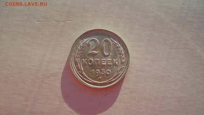 20 копеек 1930 Красивая до 15.11.14 22.00 - 20 коп 1930.JPG