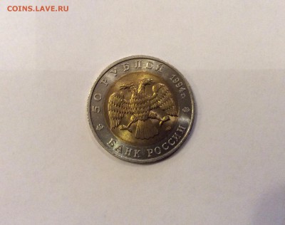 КК 1994 "Сапсан", мешковая, короткий до 21-00 12.11 - image