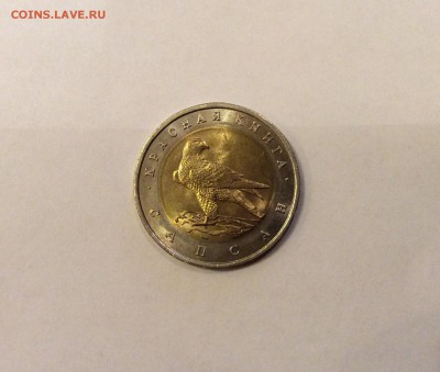 КК 1994 "Сапсан", мешковая, короткий до 21-00 12.11 - image
