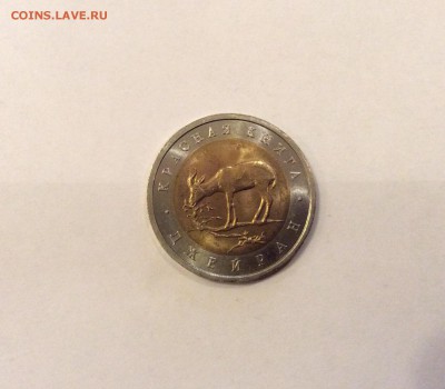 КК 1994 "джейран", мешковая, короткий до 21-00 12.11 - image