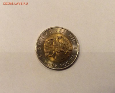 КК 1994 "фламинго", мешковая, короткий до 21-00 12.11 - image
