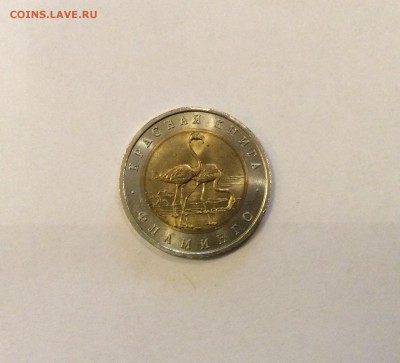 КК 1994 "фламинго", мешковая, короткий до 21-00 12.11 - image