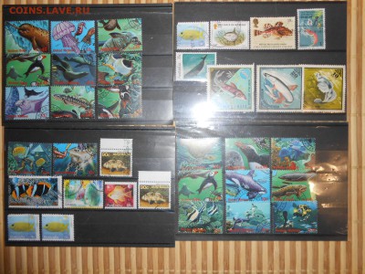 Марки Подводный мир, до 16.11.2014 года - DSCN4854.JPG