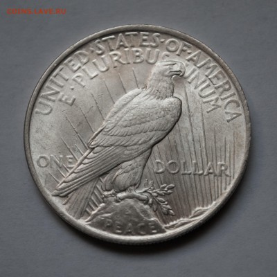 США - Мирный доллар - 1923 до 17.11.14 в 22:00 - 1923(2)