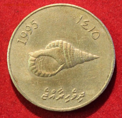 С 1 РУБЛЯ МАЛЬДИВЫ 2 руфии 1995г.РАКОВИНА   до 17.11.14г. - IMG_2352.JPG