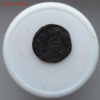 полушка 1770 сибирка до 14.11 - P1090473.JPG