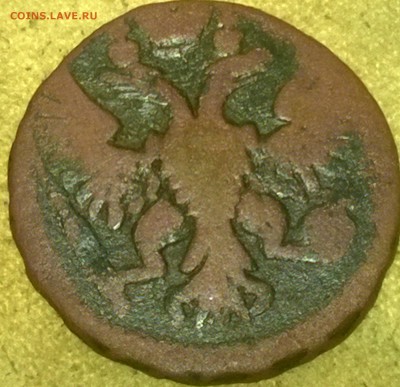 Денга 1748-1751, 1 коп. 1904 и 2 коп 1908 (без обращ) на оц. - WP_20141113_15_52_51_Pro