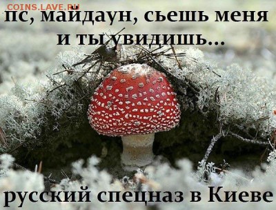 Ну а теперь про Украину - 195057_600