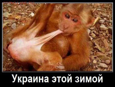 Ну а теперь про Украину - 7onHar_7ziw