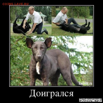 юмор - 1380270028_1380014768_086