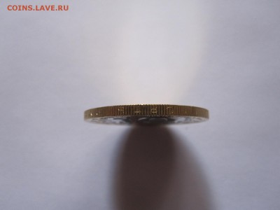 Алания гурт Сочи из мешка 17.11 22:15 - IMG_4879.JPG